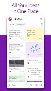 onenote interface organization