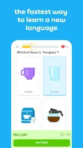 duolingo interactive lesson