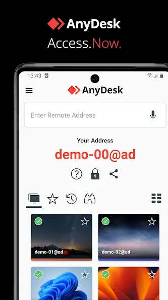 anydesk remote access ui