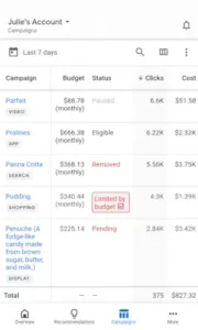 google ads budget